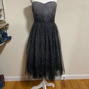 BCBG t-length 1950s inspired adorable dress